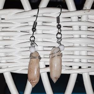 Mini Oliva Seashell Dangle Earrings
